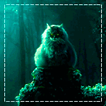 Кот сидит в темном загадочном лесу картинка смайлик