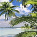Море сквозь листву пальмы картинка смайлик