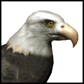 Гордая птица-орёл картинка смайлик