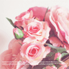 Нежные розы розового цвета картинка смайлик