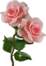 Розовые розы с переливами смайлик
