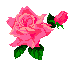 Цветы Роза с бутоном смайлики, картинки, фото, рисунки, gif анимации, аватары