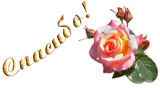 Благодарю Спасибо! Прекрасная бело-розовая роза с бутонами смайлики, картинки, фото, рисунки, gif анимации, аватары
