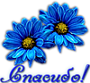 Благодарю Спасибо! Два синих цветка смайлики, картинки, фото, рисунки, gif анимации, аватары
