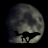 Ночь. Волк бежит на фоне луны