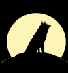 Волк в ночи воет на фоне луны