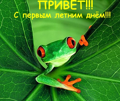 Праздники