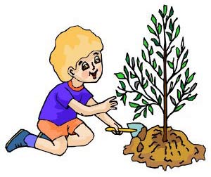 14 мая День посадки леса. Мальчик сажает дерево
