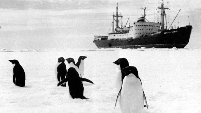 Открытки. С Днем полярника! Пингвины встречают полярников!