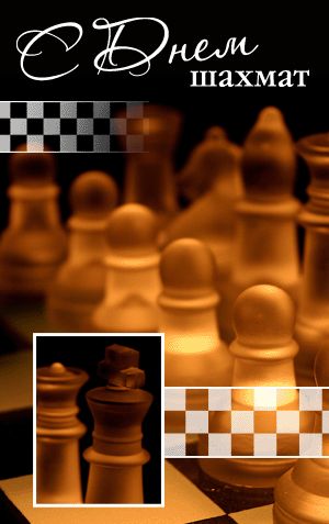 С Международным Днем шахмат!