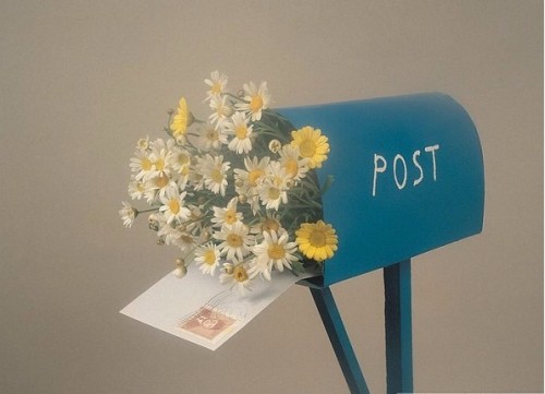 День почты! Цветы в почтовом ящике для почтальона