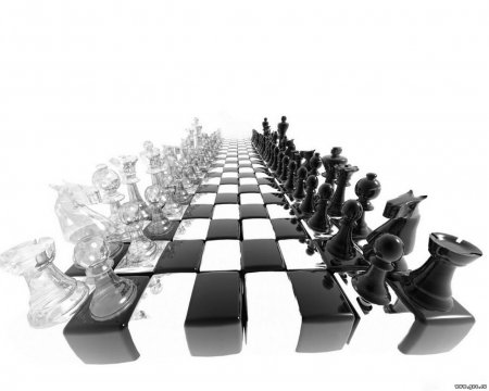 20 июля - Международный день шахмат!