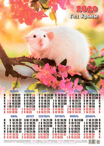  Календарь 2020 г. <b>Год</b> Крысы. Мышка на цветущем дереве 