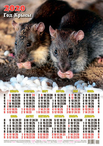  Календарь 2020 г. <b>Год</b> Крысы. Перекус 