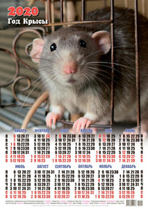  Календарь 2020 г. <b>Год</b> Крысы. Мышонок-красавец 