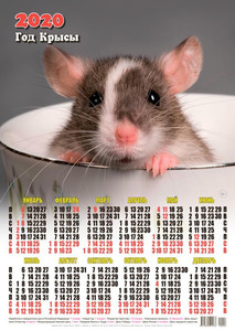  Календарь 2020 г. <b>Год</b> Крысы. Мышонок в чашке 