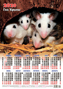  Календарь 2020 г. <b>Год</b> Крысы. Крысиное семейство 