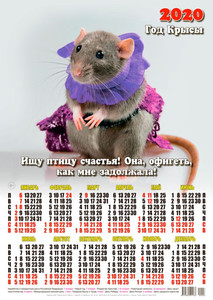  Календарь 2020 г. <b>Год</b> Крысы. Мышонок - ищу птицу счастья 