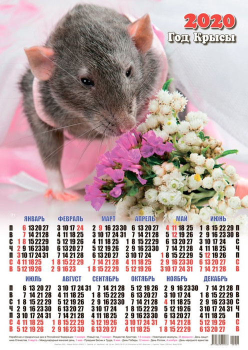 Календарь 2020 г. Год Крысы. Мышка у цветов