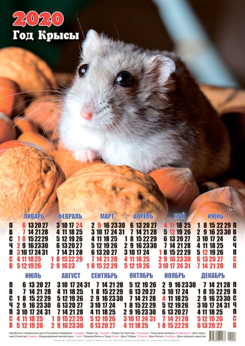 Календарь 2020 г. Мышка среди грецких орехов. Год Крысы