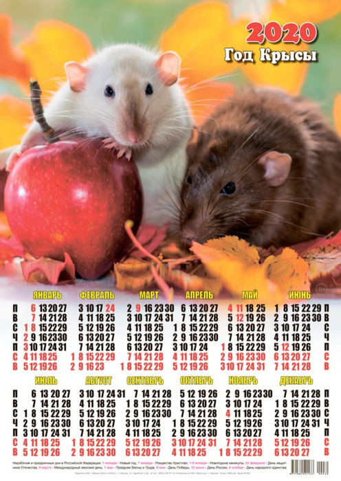 Календарь 2020 г. Год Крысы. Свежее яблоко
