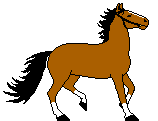 Лошади, кони