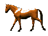 Лошади, кони