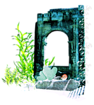 Затопленное здание с арками и растущие водоросли