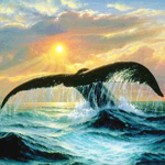 Хвост кита над морем