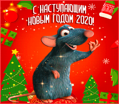 С наступающим  Новым 2020 годом! Симпатичная крыса