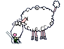 Козы, овцы