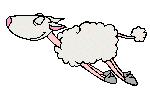 Козы, овцы