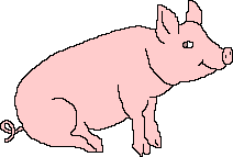Свинья, свинка, поросенок