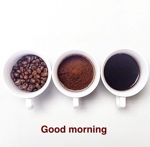 Доброго утра!  Кофе от зерна до напитка