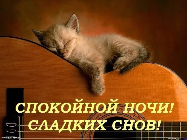 Открытка. Спокойной ночи! Котенок спит на гитаре