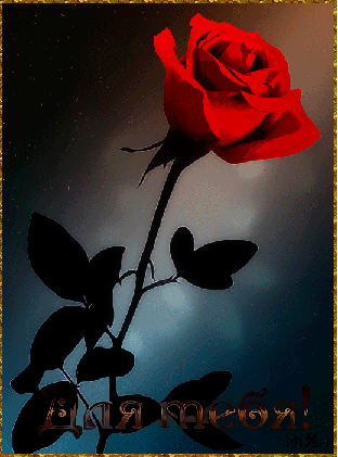 Открытка для тебя.Красная роза