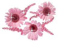 Переливы розовых цветов