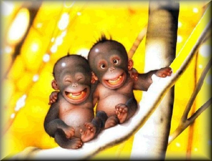 С Днем улыбки! Улыбчивые обезьянки